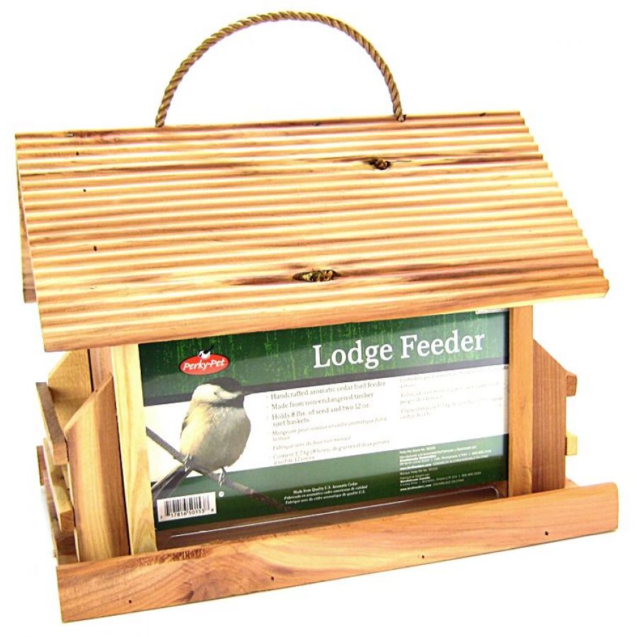 create-the-perfect-purple-finch-bird-house-plans-for-2023-bird-lover